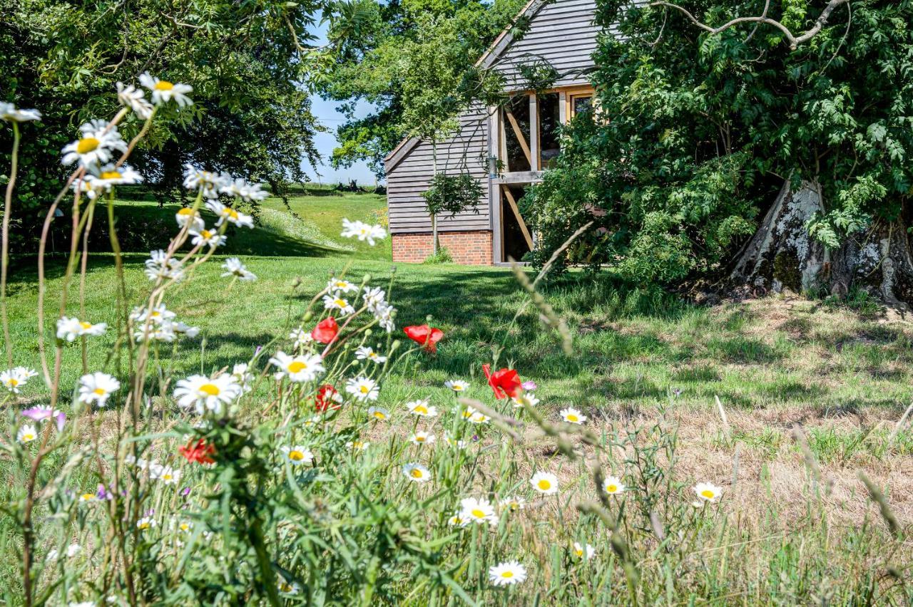 安德沃South Park Farm Barn住宿加早餐旅馆 外观 照片